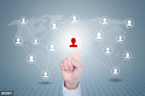 互聯(lián)網(wǎng)時(shí)代 三種行之有效的網(wǎng)絡(luò)推廣方式賦能企業(yè)信息系統(tǒng)軟件開(kāi)發(fā)